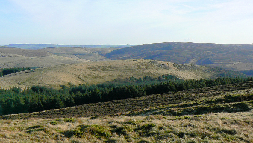 Wild Moor Wild Moor